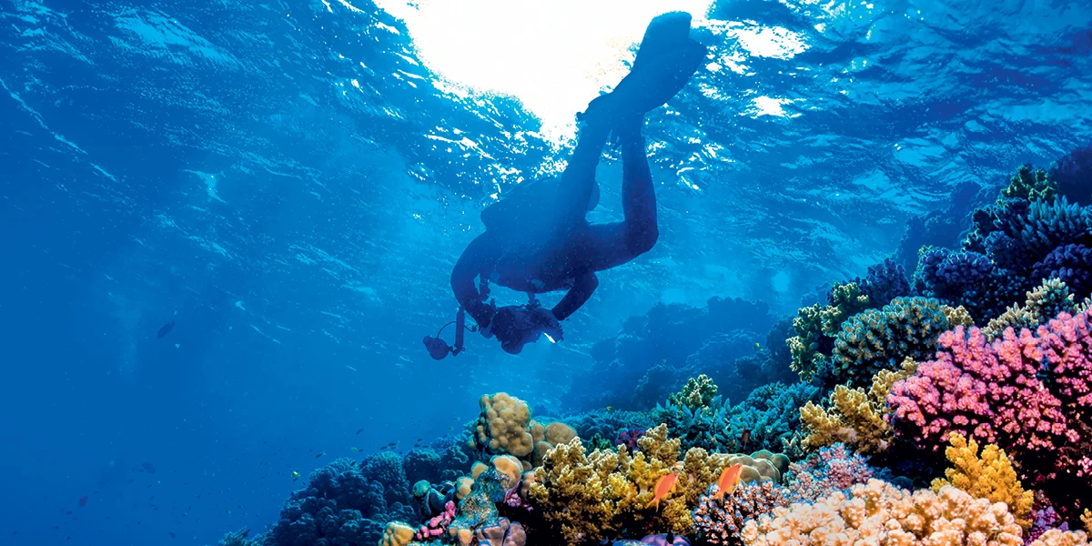 Be an Eco Diver