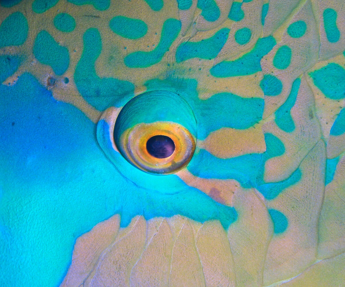 sea-shore