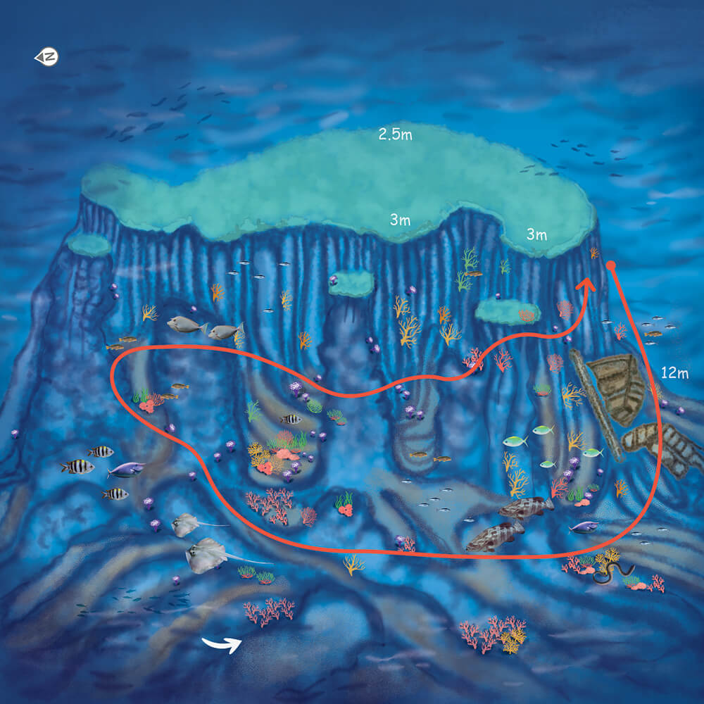 route_map_img