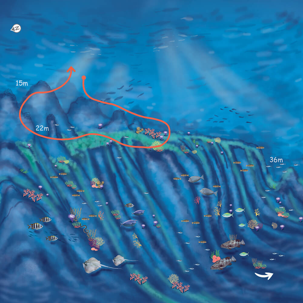 route_map_img