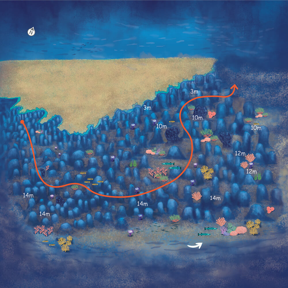 route_map_img