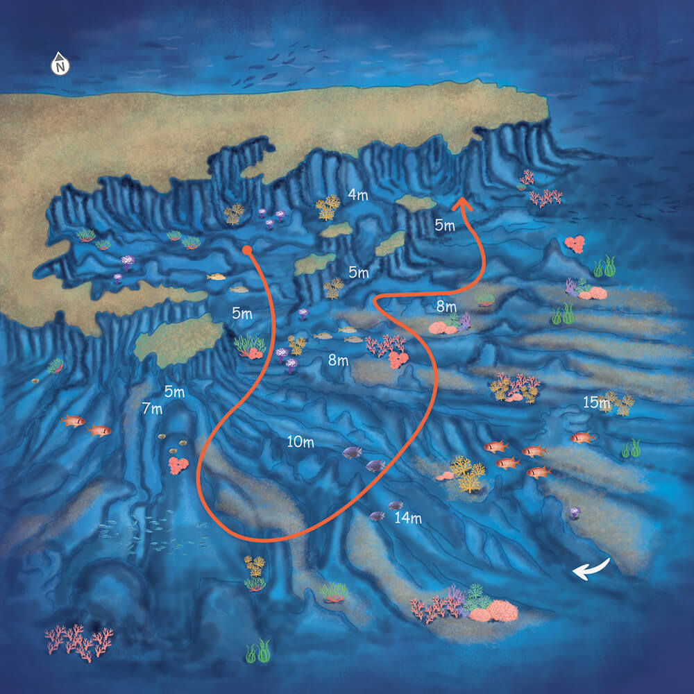 route_map_img