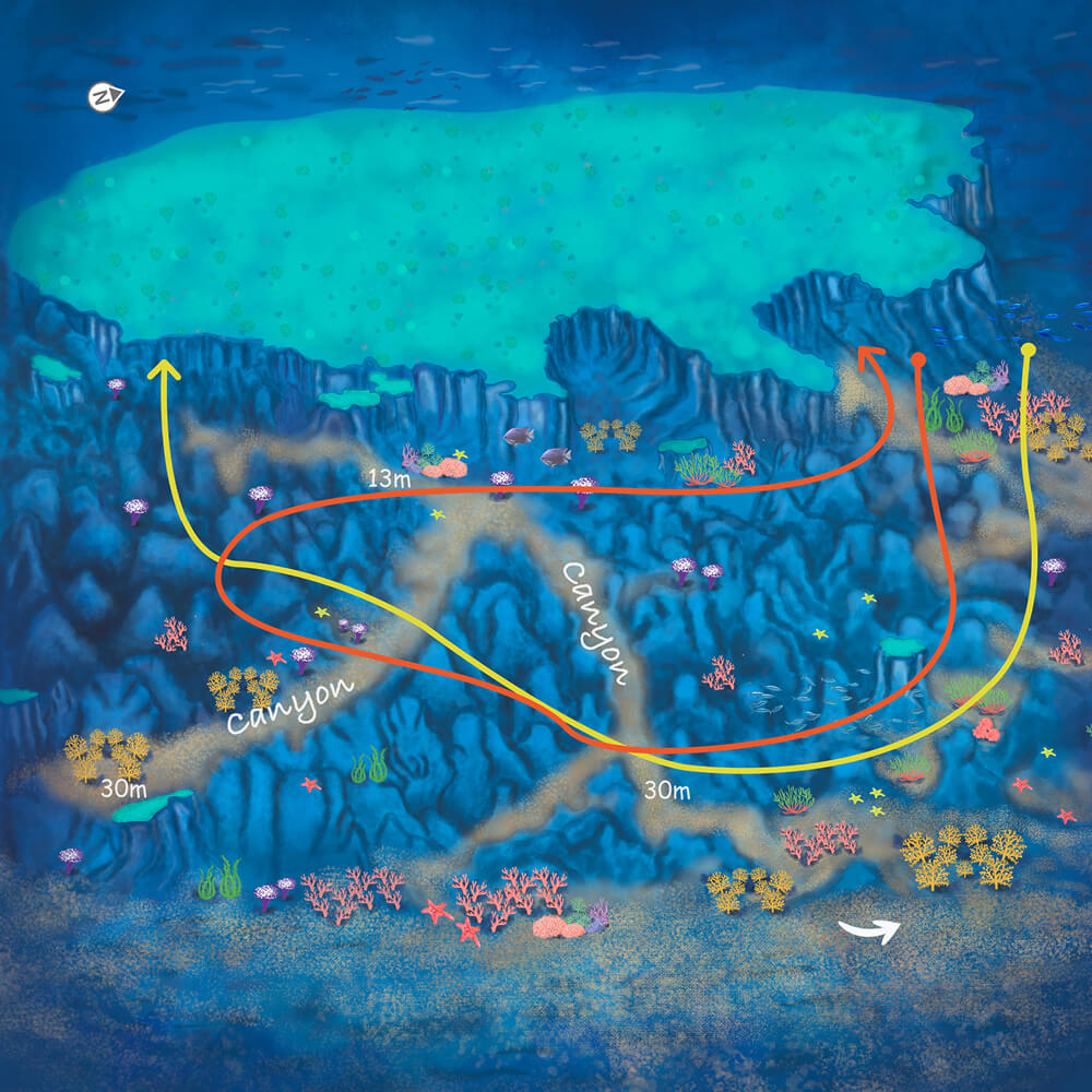 route_map_img