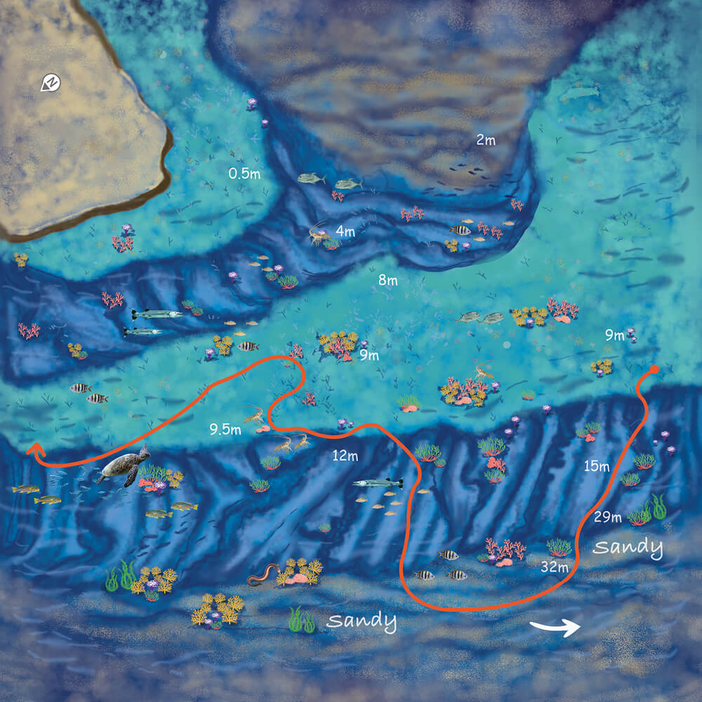 route_map_img