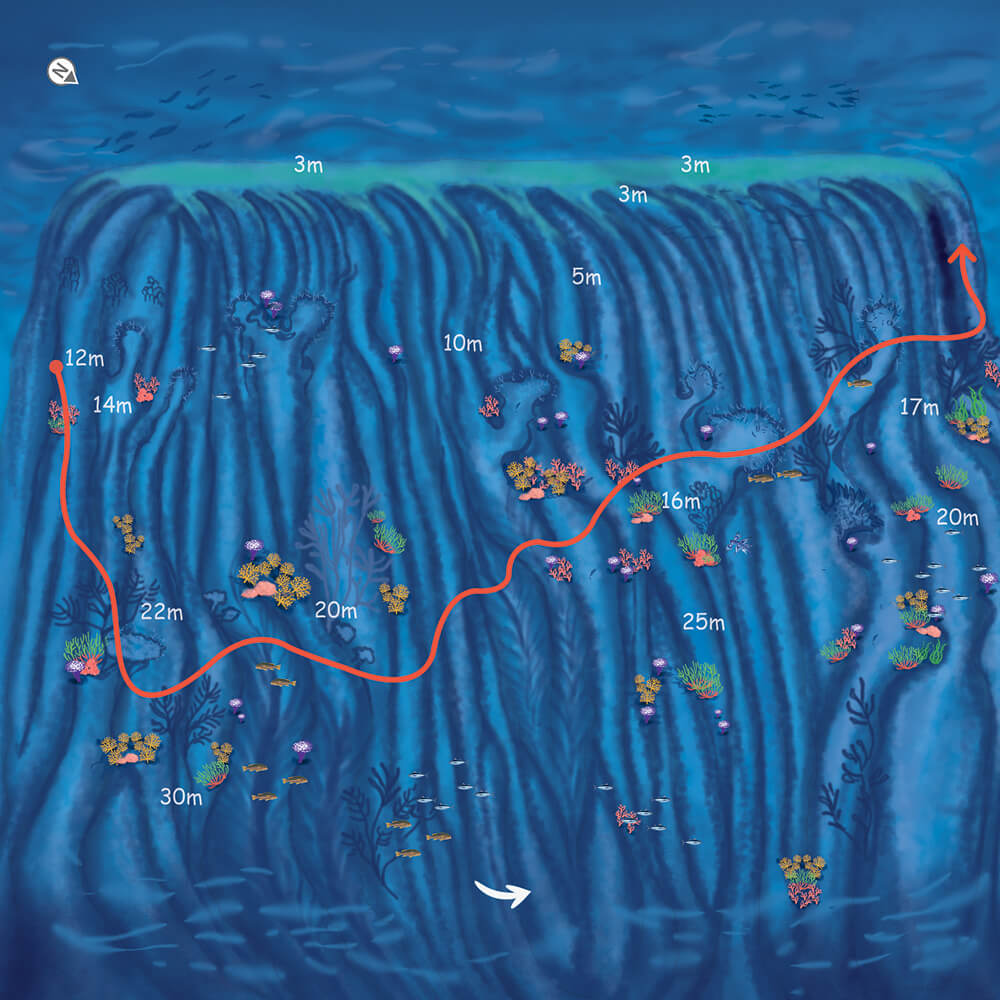 route_map_img